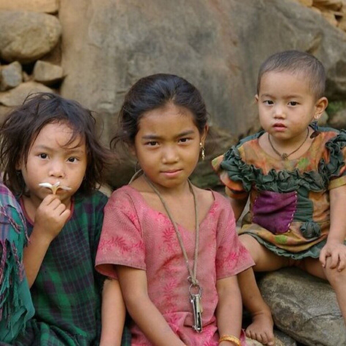 Need Nutrition program to improve the health status