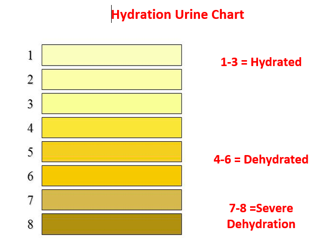 Drink Daily