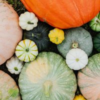 Pumpkin Seeds for Sleep Better