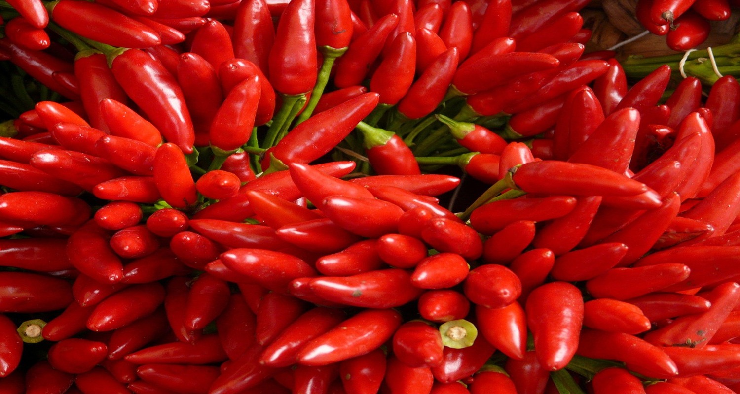 Chili Benefits for Older Adults