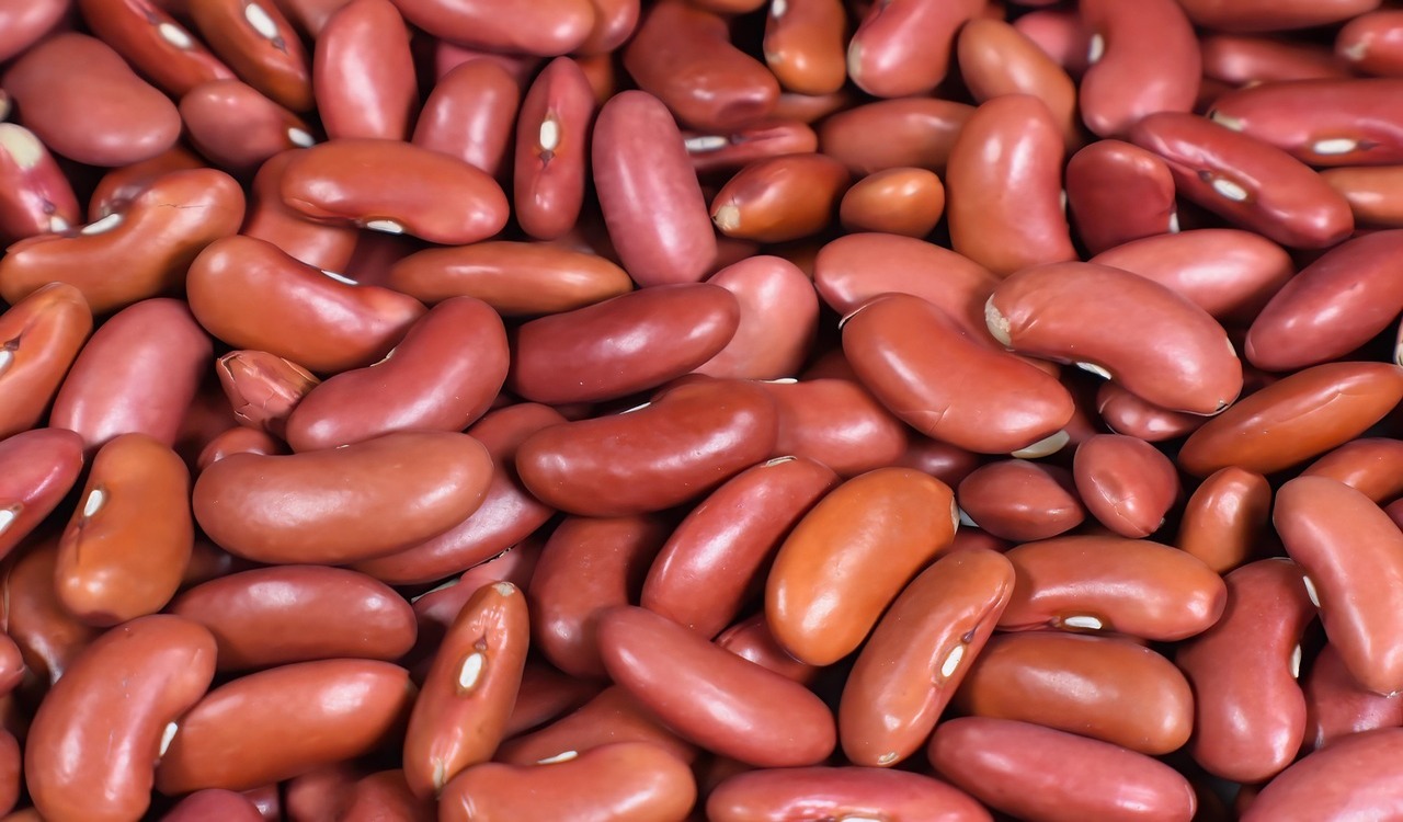 Health Benefits of Kidney Beans