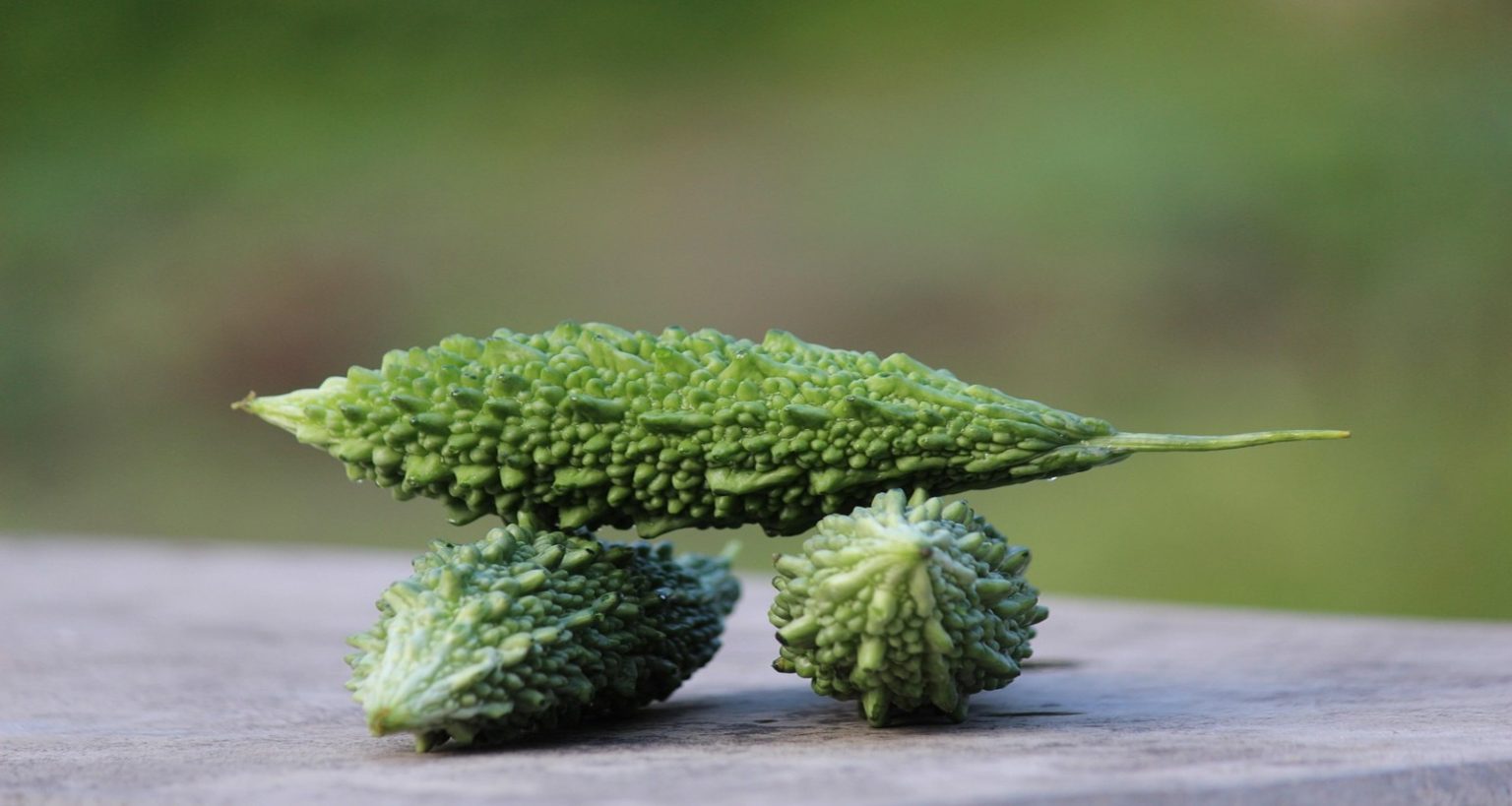Bitter Gourd Benefits for Senior Health