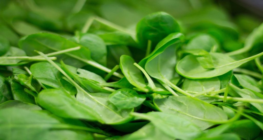 Manganese benefits for seniors
