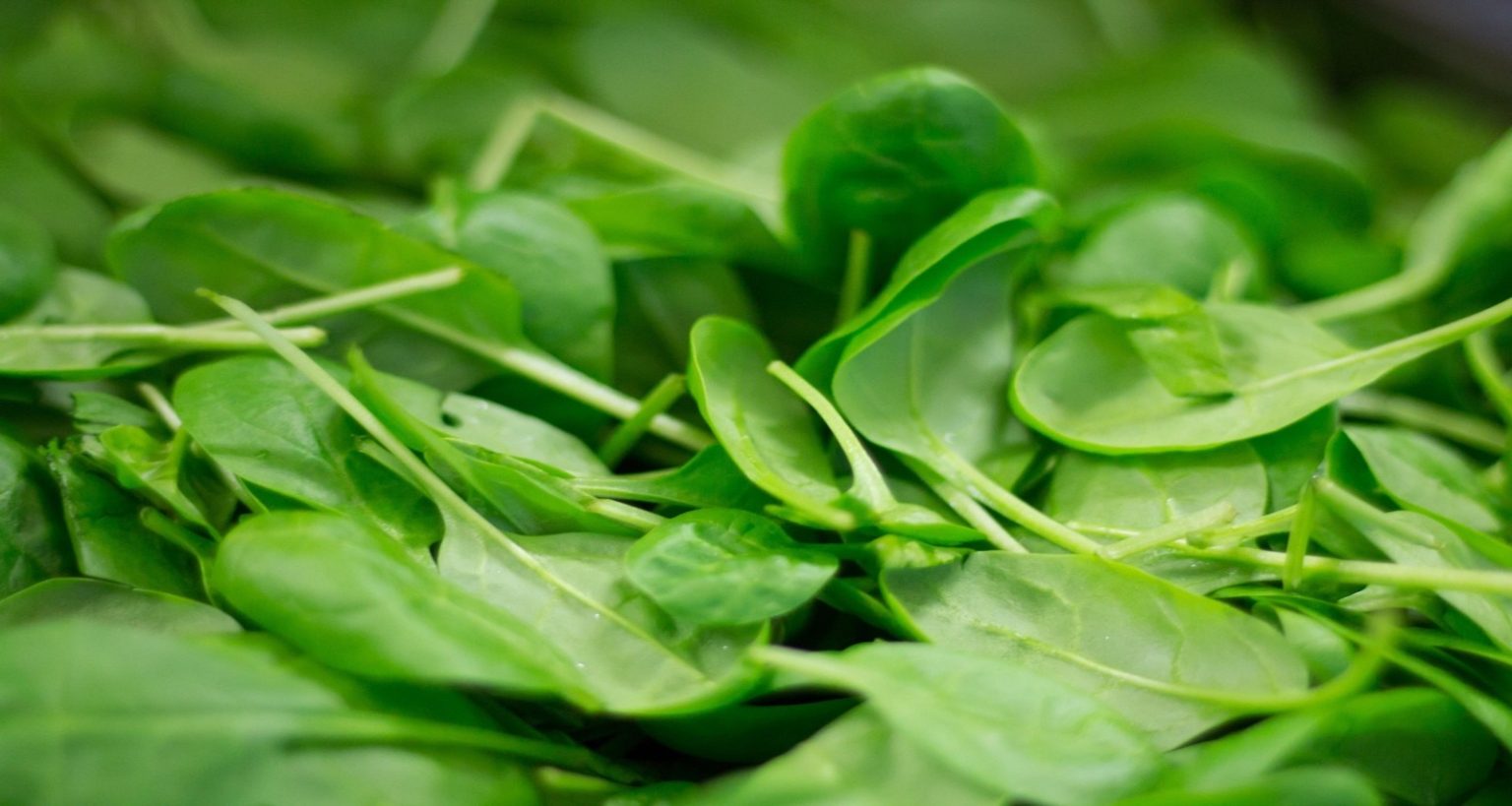 Manganese benefits for seniors